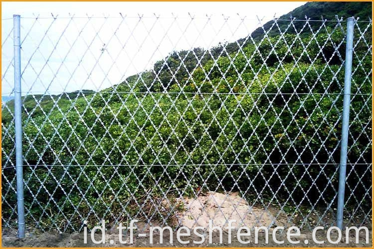 welded concertina razor wire mesh 1